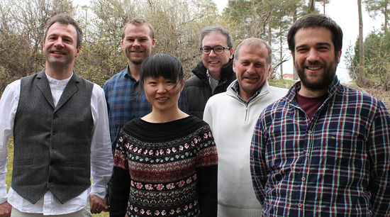 A group photo of my research team at Umeå.